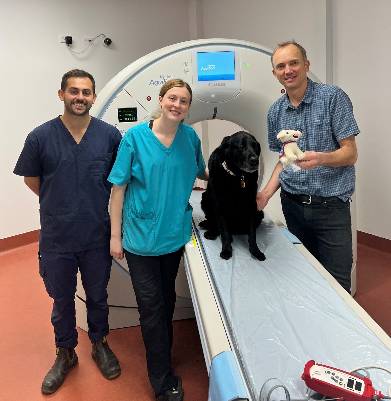 Professional team at Versa Vet CT